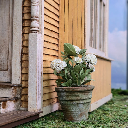 Handmade White Hydrangea in Aged Mossy Clay Pot 1:12