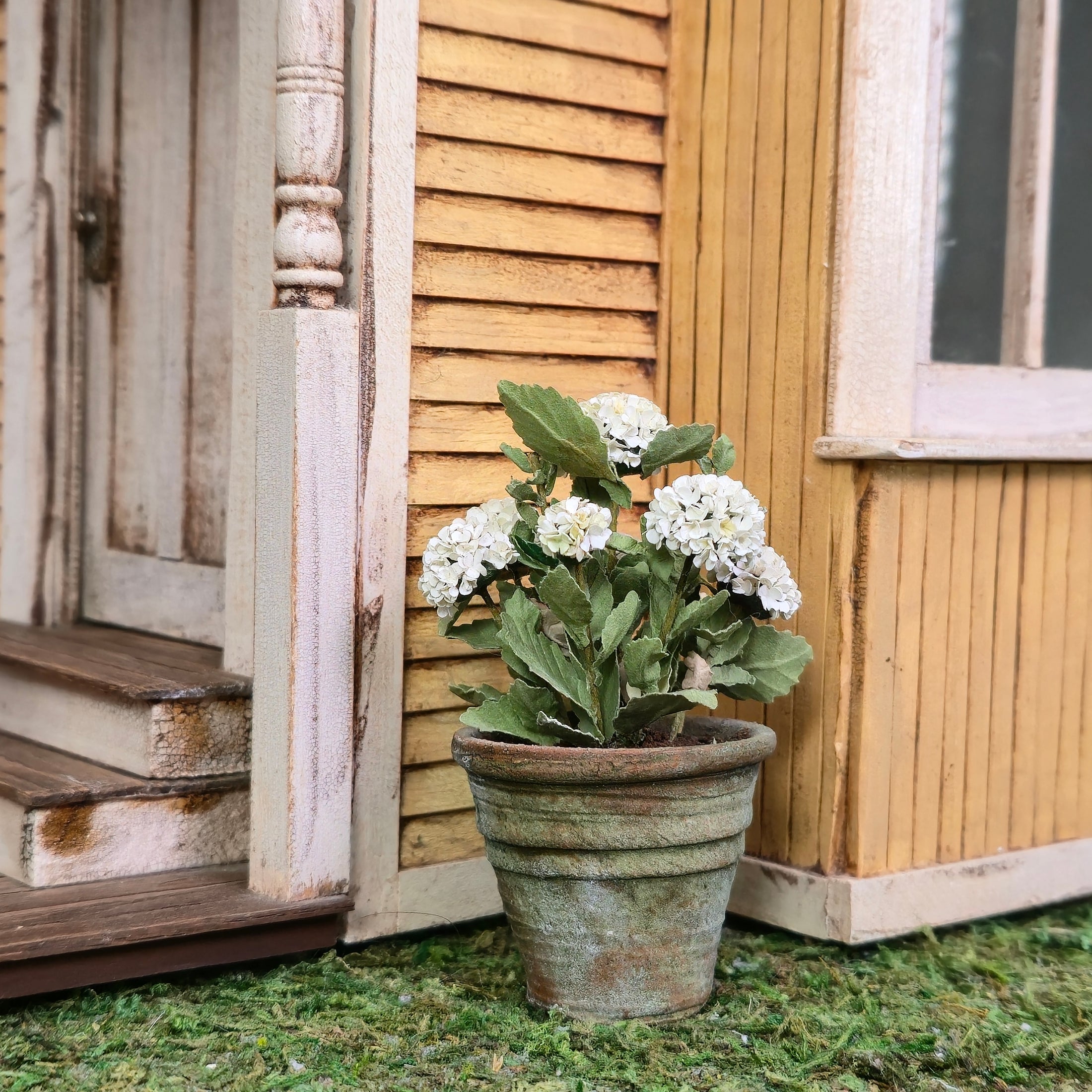 Handmade White Hydrangea in Aged Mossy Clay Pot 1:12