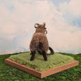 Load image into Gallery viewer, Takanashi Takumi Miniature Felted Wool Ram Dollhouse Animal
