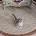Load image into Gallery viewer, OOAK Miniature Scottish Fold Cat Figure with Original Box
