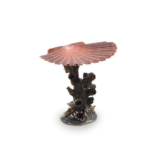 Whimsical Coral & Shell Shellwork Pedestal Table by Pamela Goldman