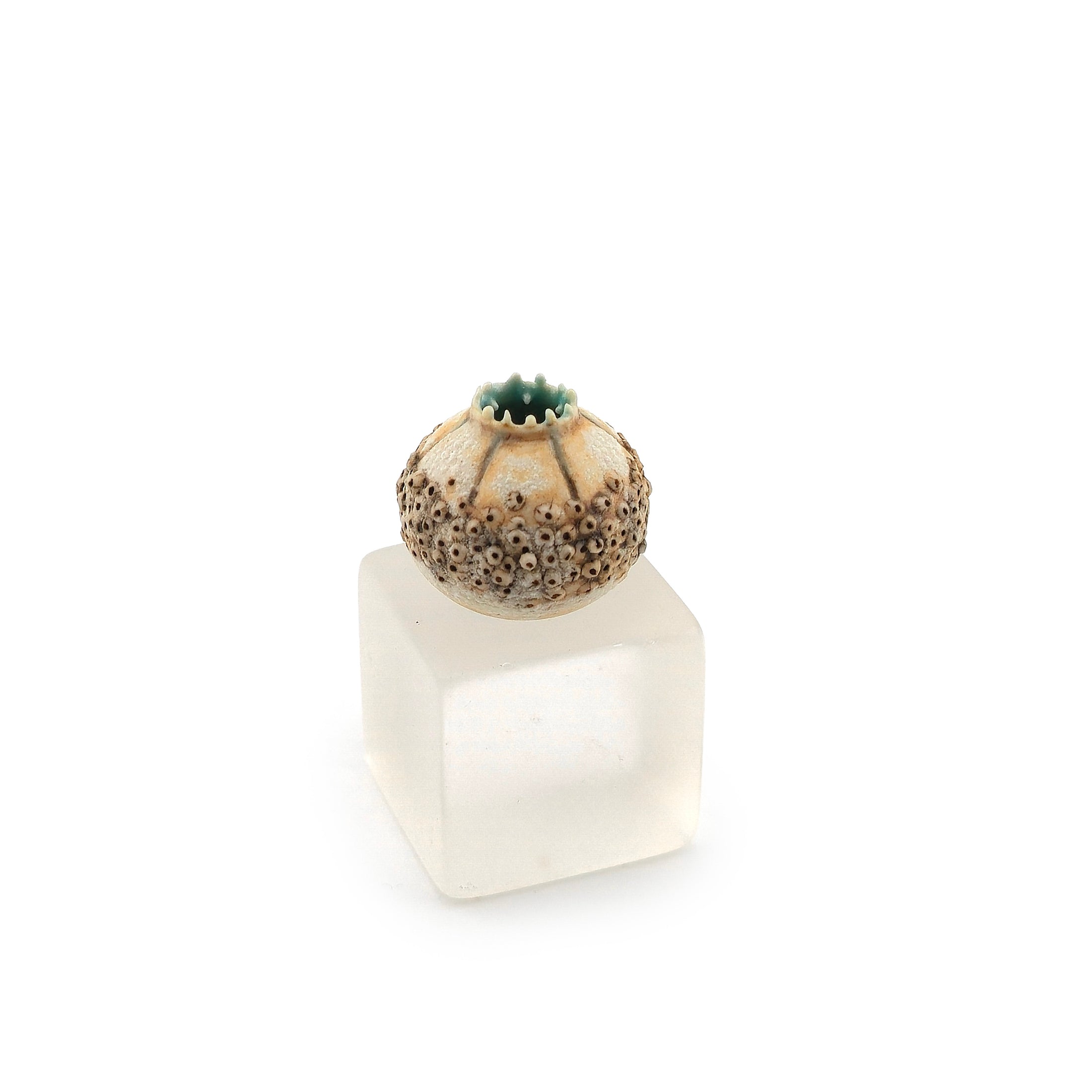 Incredible IGMA Susan Van Tubbergen Sea Urchin Vase