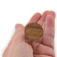 Load image into Gallery viewer, Wendy Smale Coastal Shell Specimen Cloche Display Beautiful
