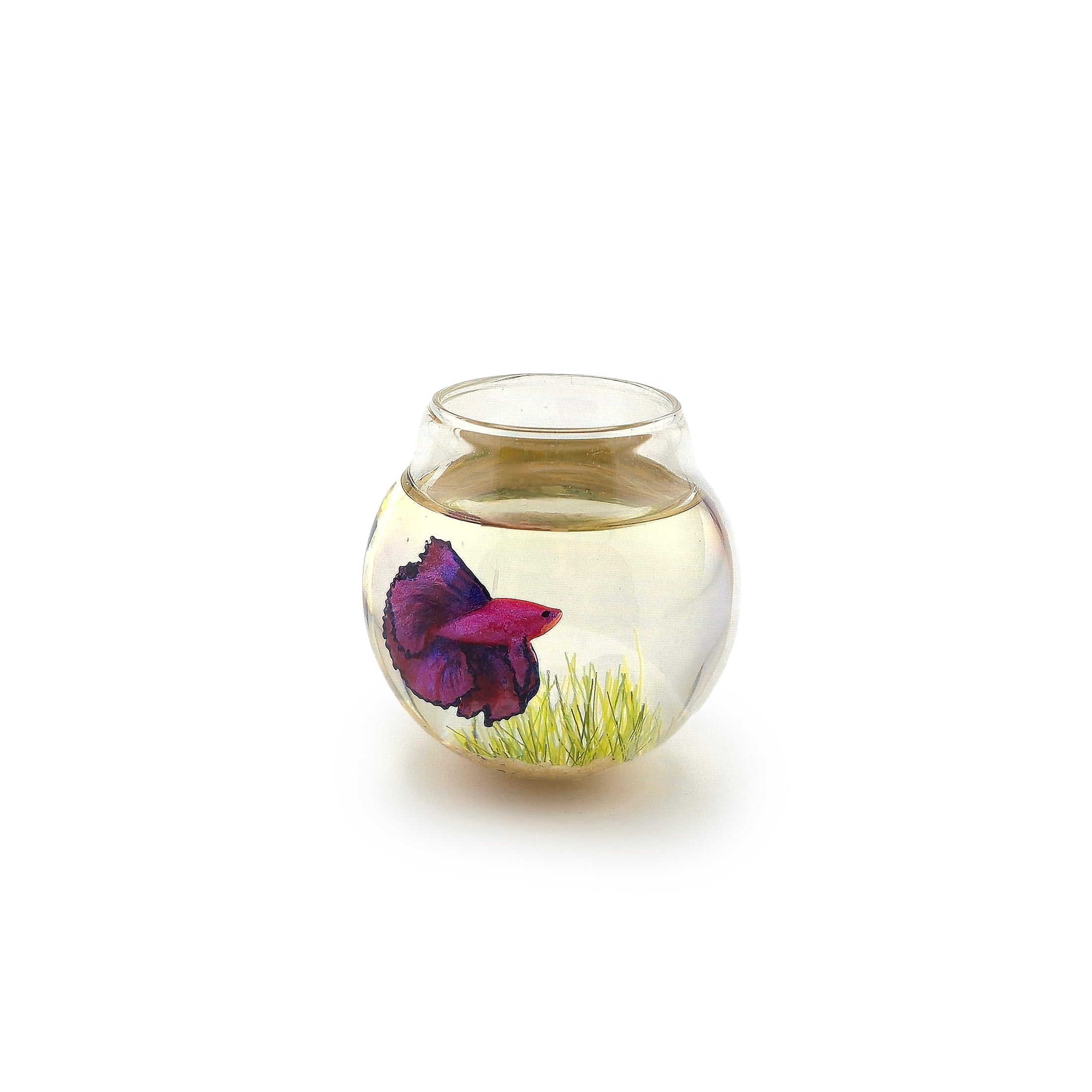 Fatima Doña Miniature Pink Betta Fish Glass Bowl Sculpture