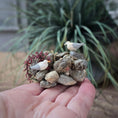 Load image into Gallery viewer, Coastal Rocky Shoreline Vignette with Seagulls Diorama
