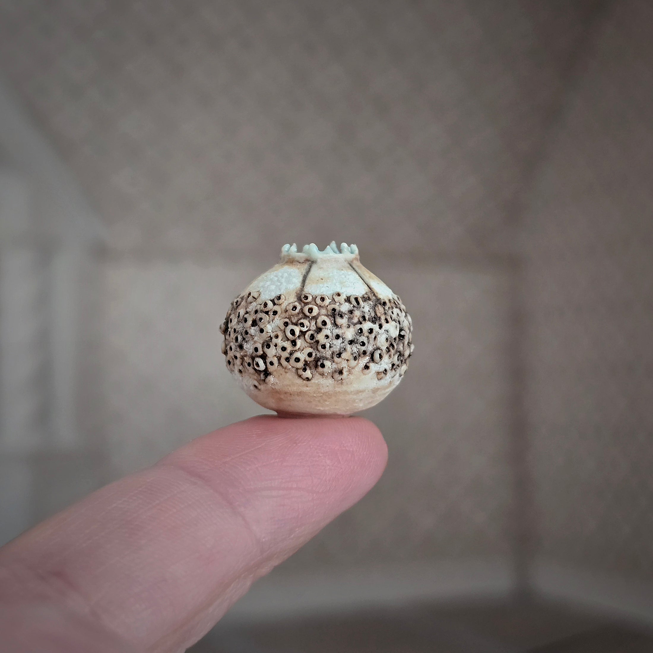 Incredible IGMA Susan Van Tubbergen Sea Urchin Vase
