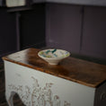 Load image into Gallery viewer, Susan Van Tubbergen School of Swimming Fish Shallow Bowl
