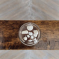 Load image into Gallery viewer, Wendy Smale Coastal Shell Specimen Cloche Display Beautiful
