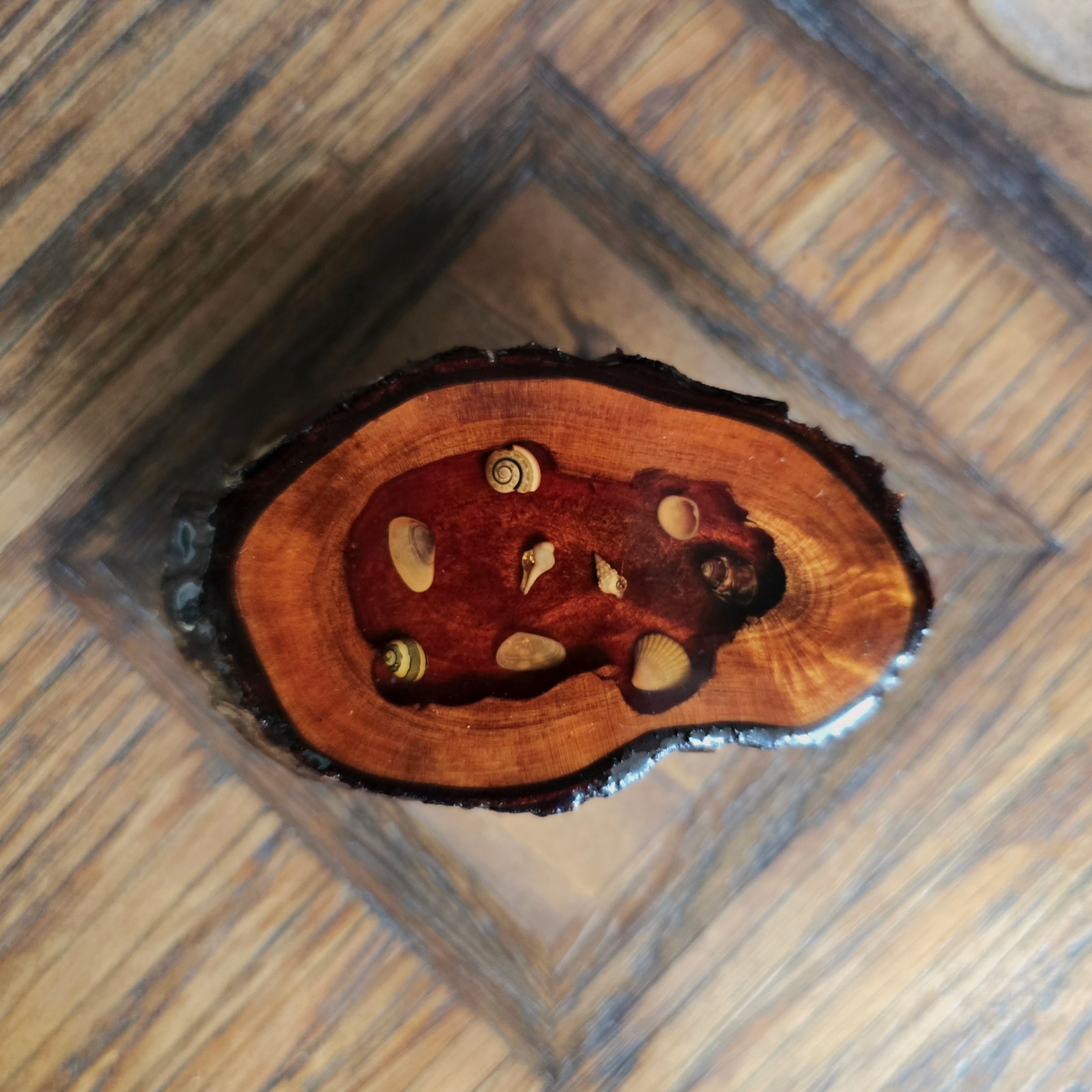OOAK Rustic Live Edge Wood & Inset Resin Shell Coffee Table