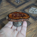 Load image into Gallery viewer, OOAK Rustic Live Edge Wood & Inset Resin Shell Coffee Table
