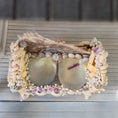 Load image into Gallery viewer, Pamela Goldman OOAK Sea Shell Settee Dollhouse Miniature
