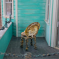 Load image into Gallery viewer, Pamela Goldman Shellwork Armchair Dollhouse Miniature
