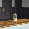 Load image into Gallery viewer, Miniature Preserved Botanical Specimen Under Glass Dome

