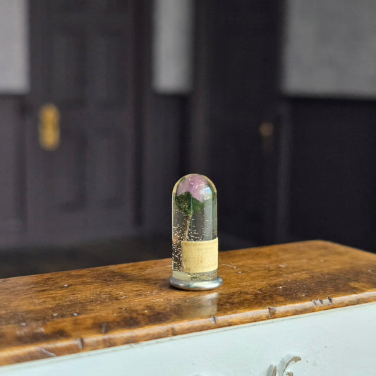 Miniature Preserved Botanical Specimen Under Glass Dome