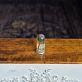 Load image into Gallery viewer, Miniature Preserved Botanical Specimen Under Glass Dome

