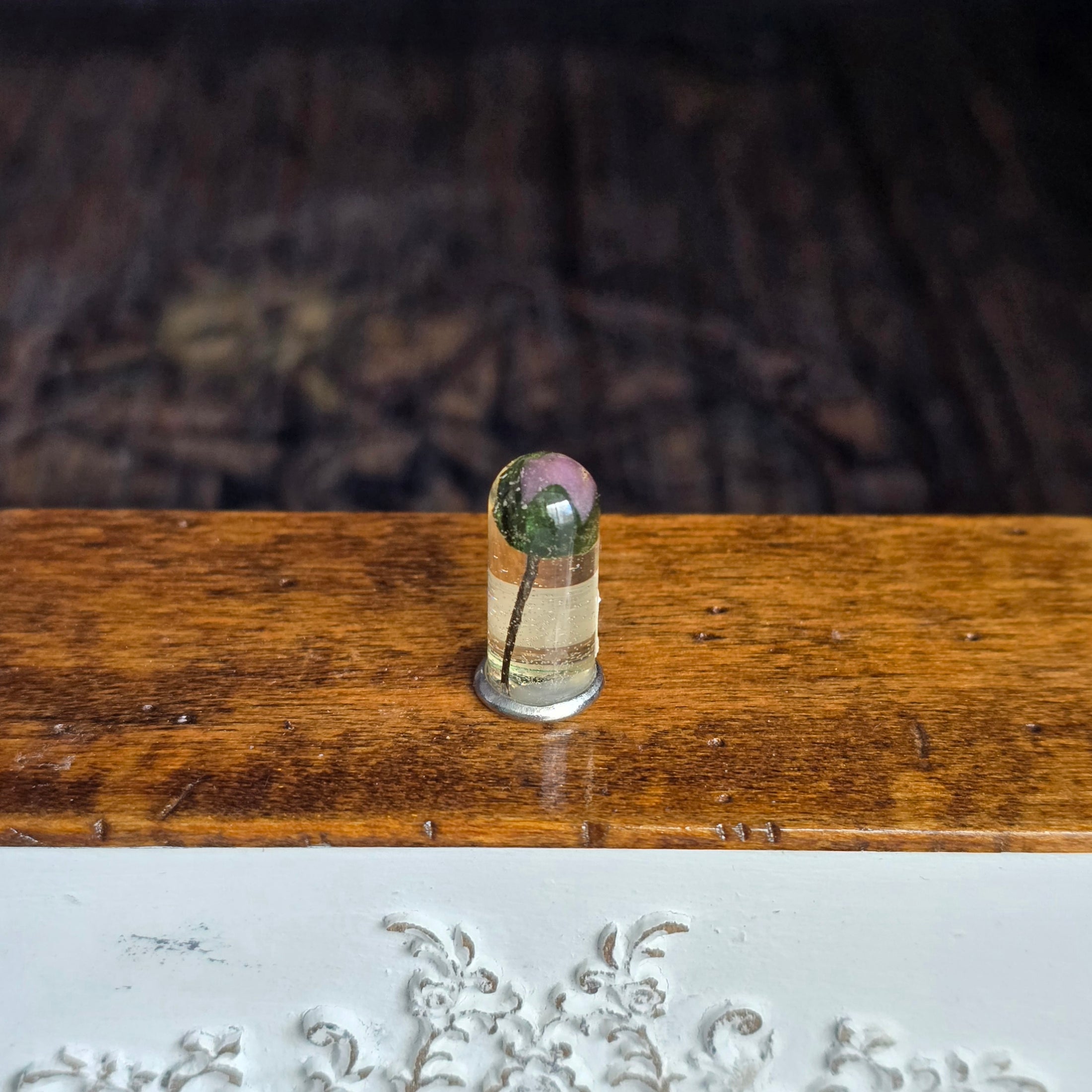 Miniature Preserved Botanical Specimen Under Glass Dome
