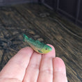 Load image into Gallery viewer, Hand-Painted Clay Trophy Trout Fish Wall Mount Set
