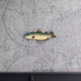 Load image into Gallery viewer, Hand-Painted Clay Trophy Trout Fish Wall Mount Set
