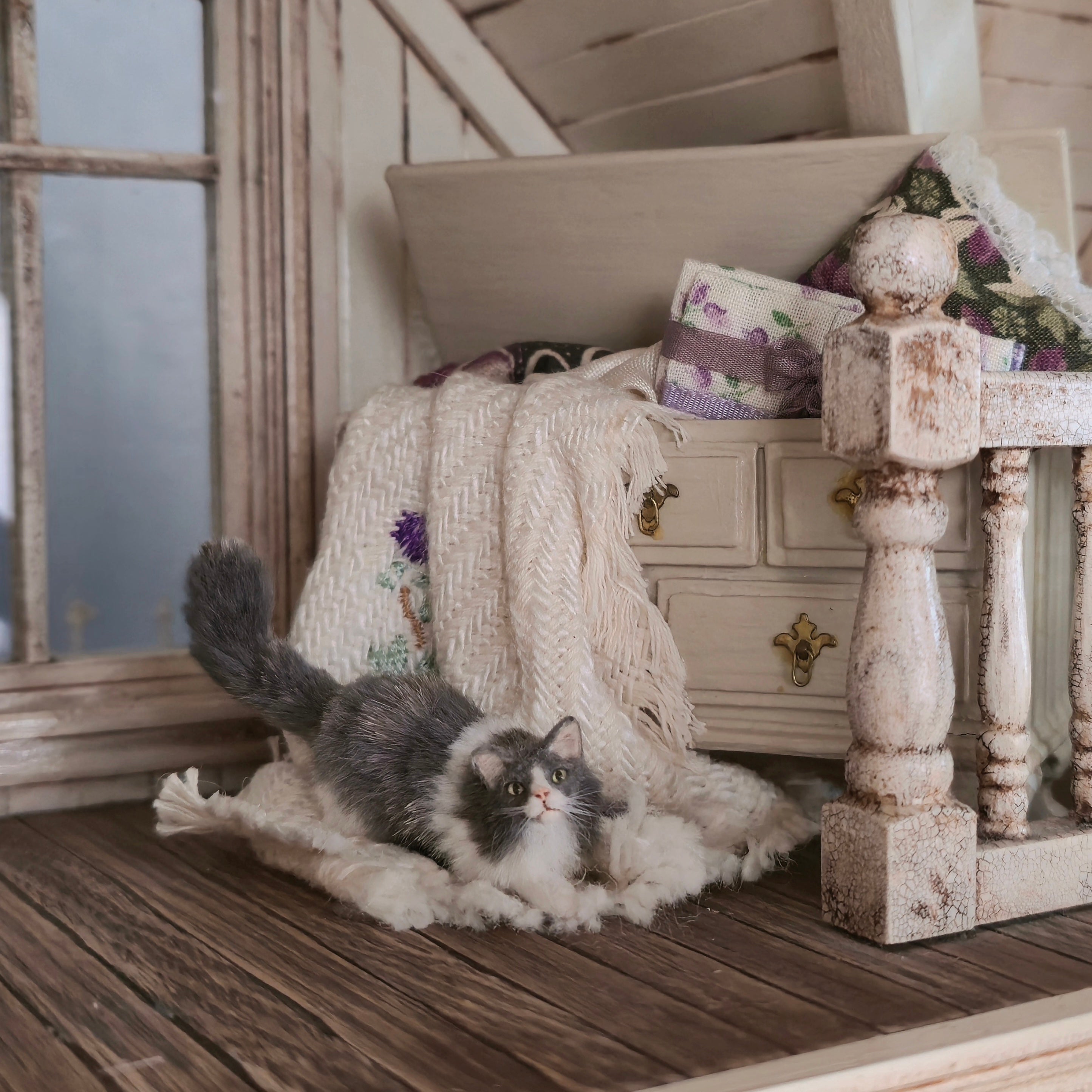 Axel Grey & White Long Haired Cat in Hunting Pose Ready to Pounce