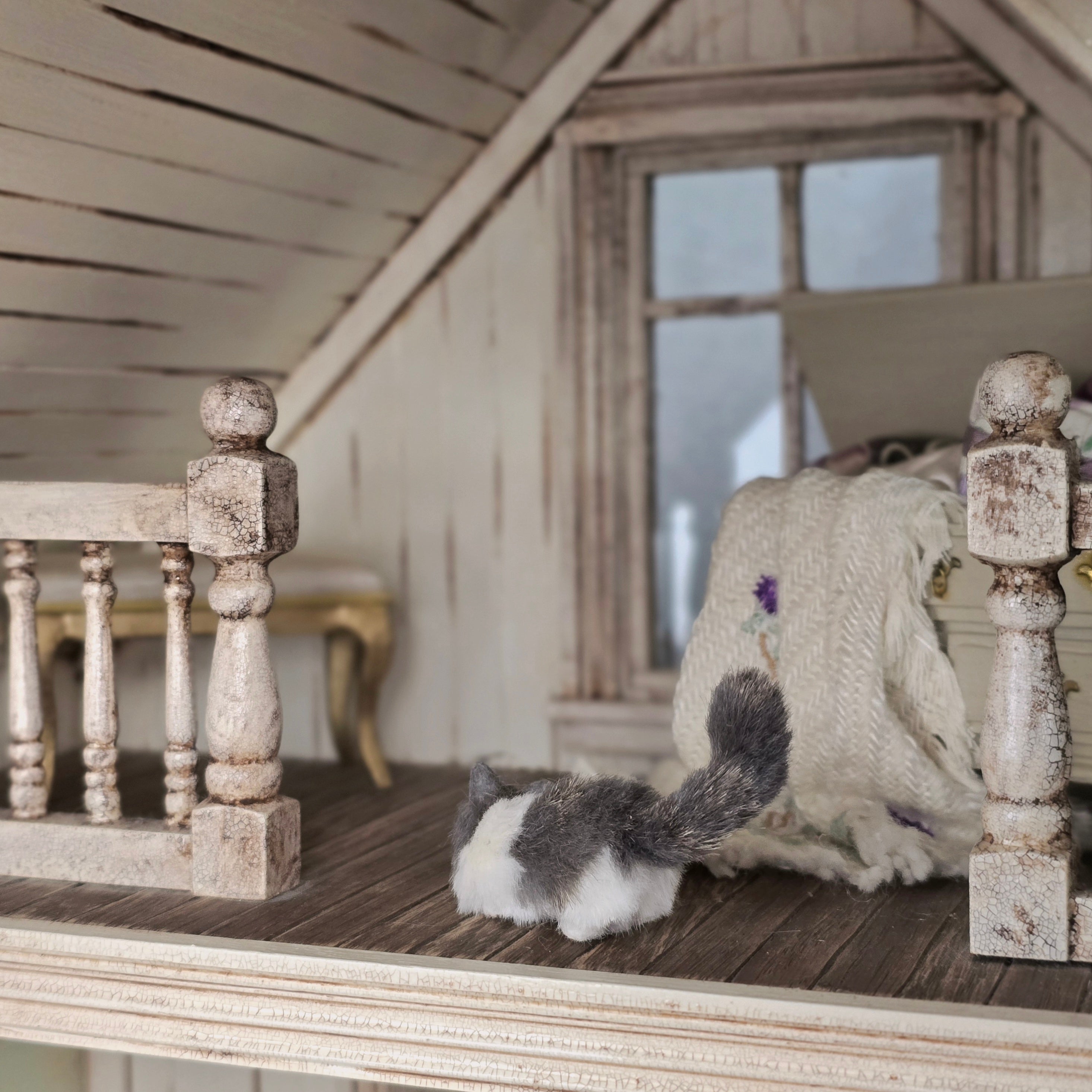 Axel Grey & White Long Haired Cat in Hunting Pose Ready to Pounce