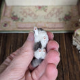 Load image into Gallery viewer, Axel Grey & White Long Haired Cat in Hunting Pose Ready to Pounce
