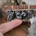 Load image into Gallery viewer, OOAK Miniature Raccoon Family Suitcase Vignette Artisan Made

