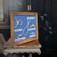 Load image into Gallery viewer, Blue Miniature Nautical Knot Framed Shadow Box Wall Display Five Knots
