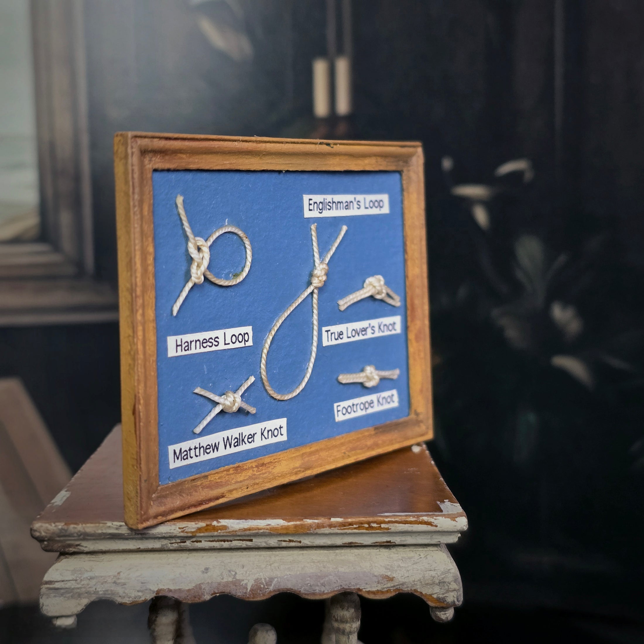 Blue Miniature Nautical Knot Framed Shadow Box Wall Display Five Knots