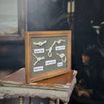 Load image into Gallery viewer, Green Miniature Nautical Knot Framed Shadow Box Wall Display Five Knots
