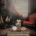Load image into Gallery viewer, Miniature Coastal Seashell Curio Collection Display Set
