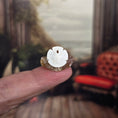 Load image into Gallery viewer, Miniature Coastal Seashell Curio Collection Display Set
