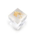 Load image into Gallery viewer, Miniature Natural Lace Coral Specimen with Micro Seashell Display
