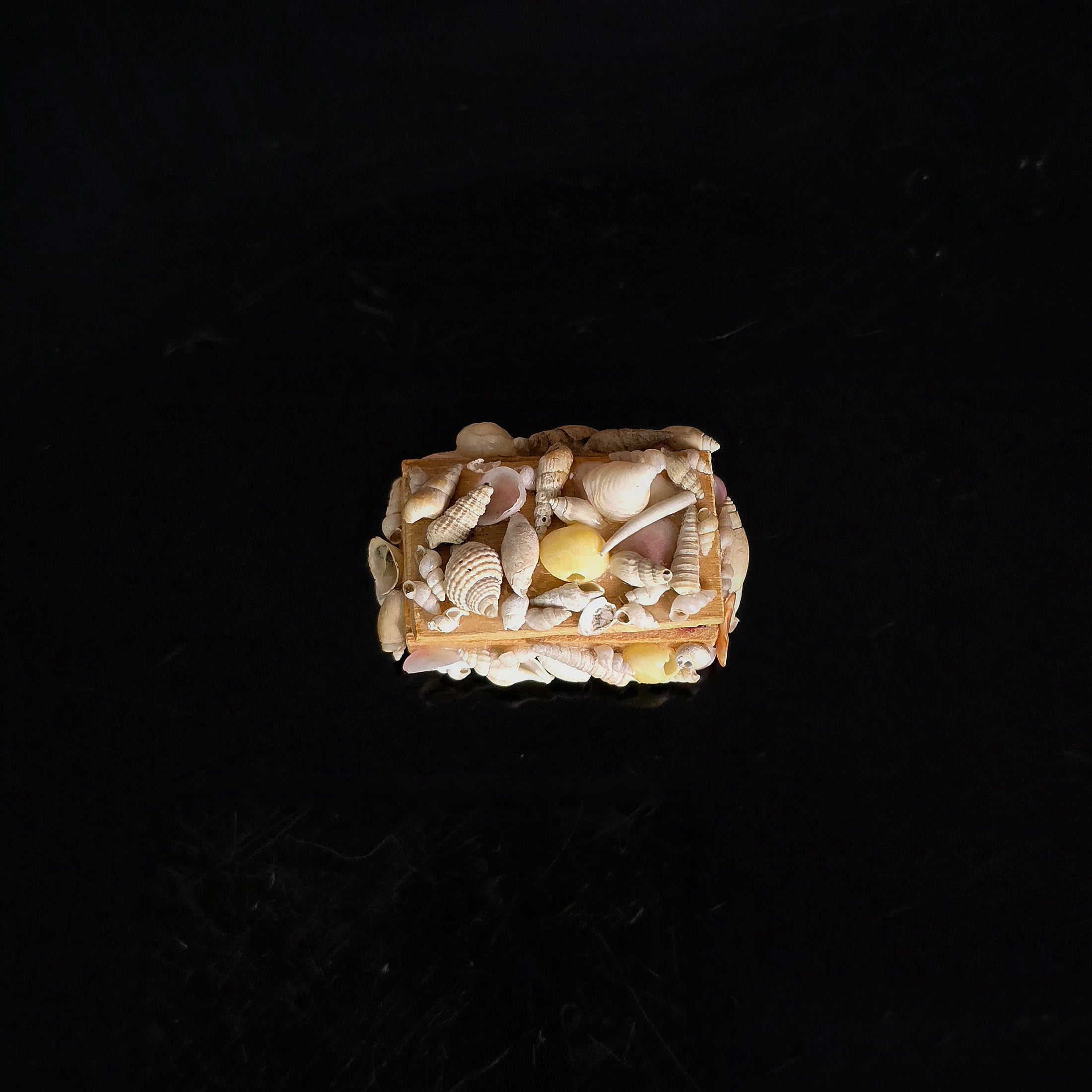 Miniature Shellwork Keepsake Trinket Box with Velvet Interior