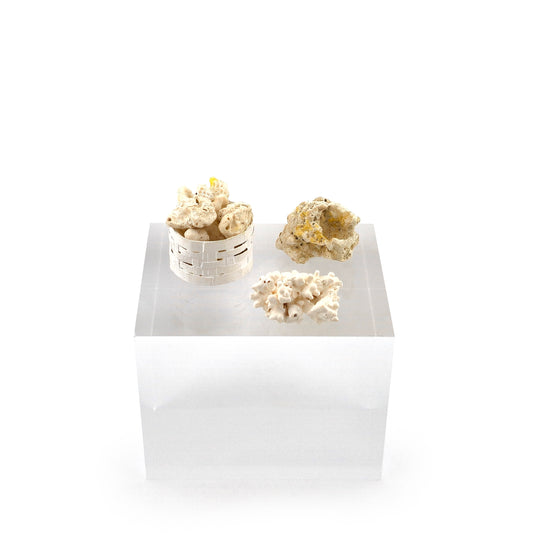 Miniature Coral Specimen Collection in Basket & Loose Coral Pieces Set