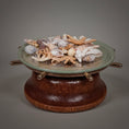 Load image into Gallery viewer, Miniature Natural Seashell & Starfish Specimen Collection
