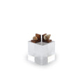 Load image into Gallery viewer, Wendy Smale Miniature Nautical Seashell Pair of Bookends Artisan
