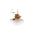 Load image into Gallery viewer, Miniature Shell Sailboat Sculpture OOAK Maritime Decor Display
