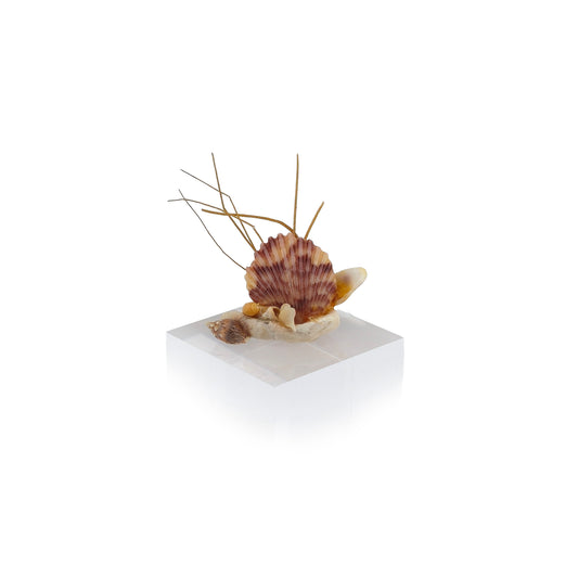 Miniature Shell Sailboat Sculpture OOAK Maritime Decor Display