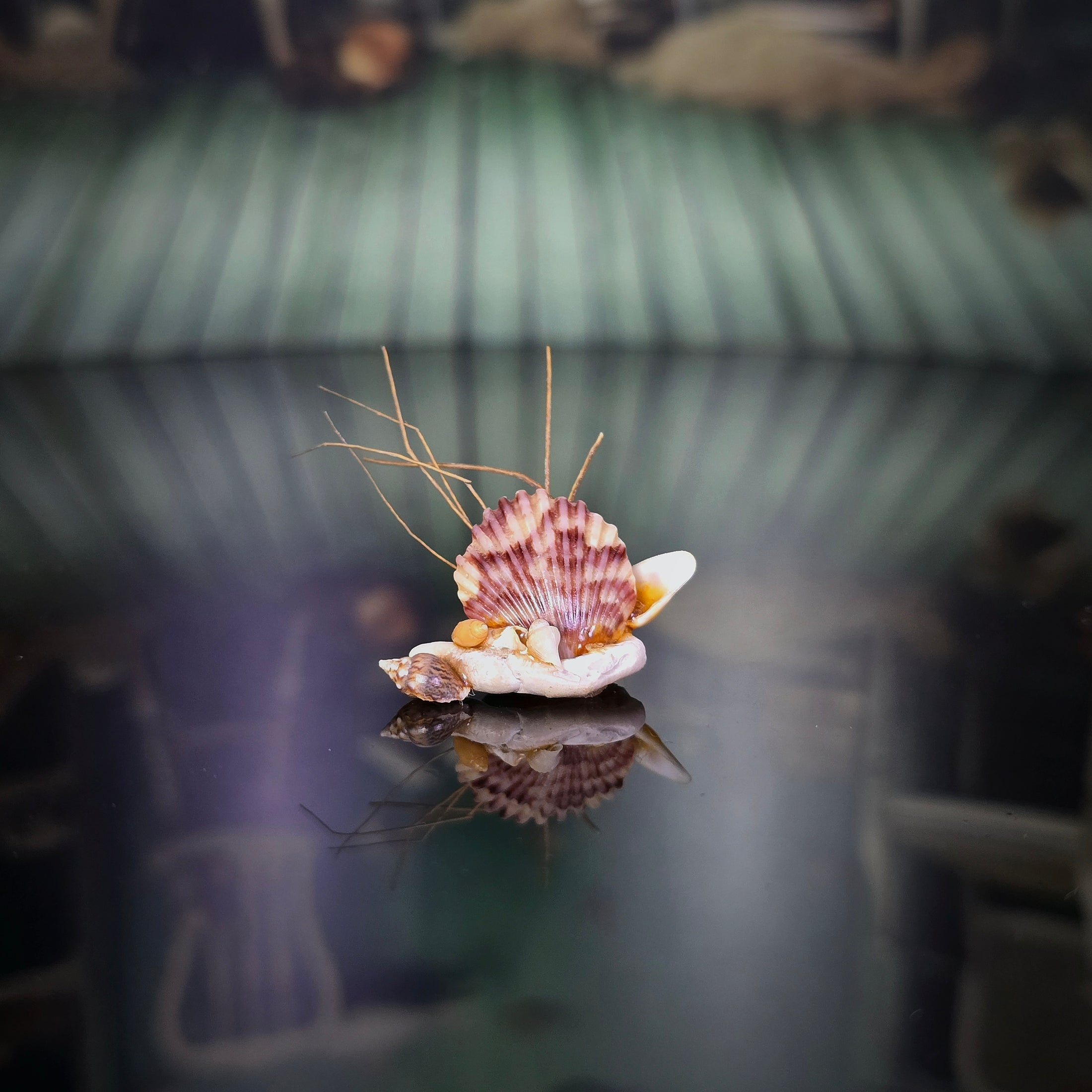 Miniature Shell Sailboat Sculpture OOAK Maritime Decor Display