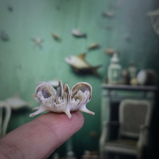 Miniature Shell Flower Sculpture OOAK Maritime Curiosity