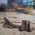 Load image into Gallery viewer, Miniature Weathered Driftwood Beach Scene Accessories Set OOAK
