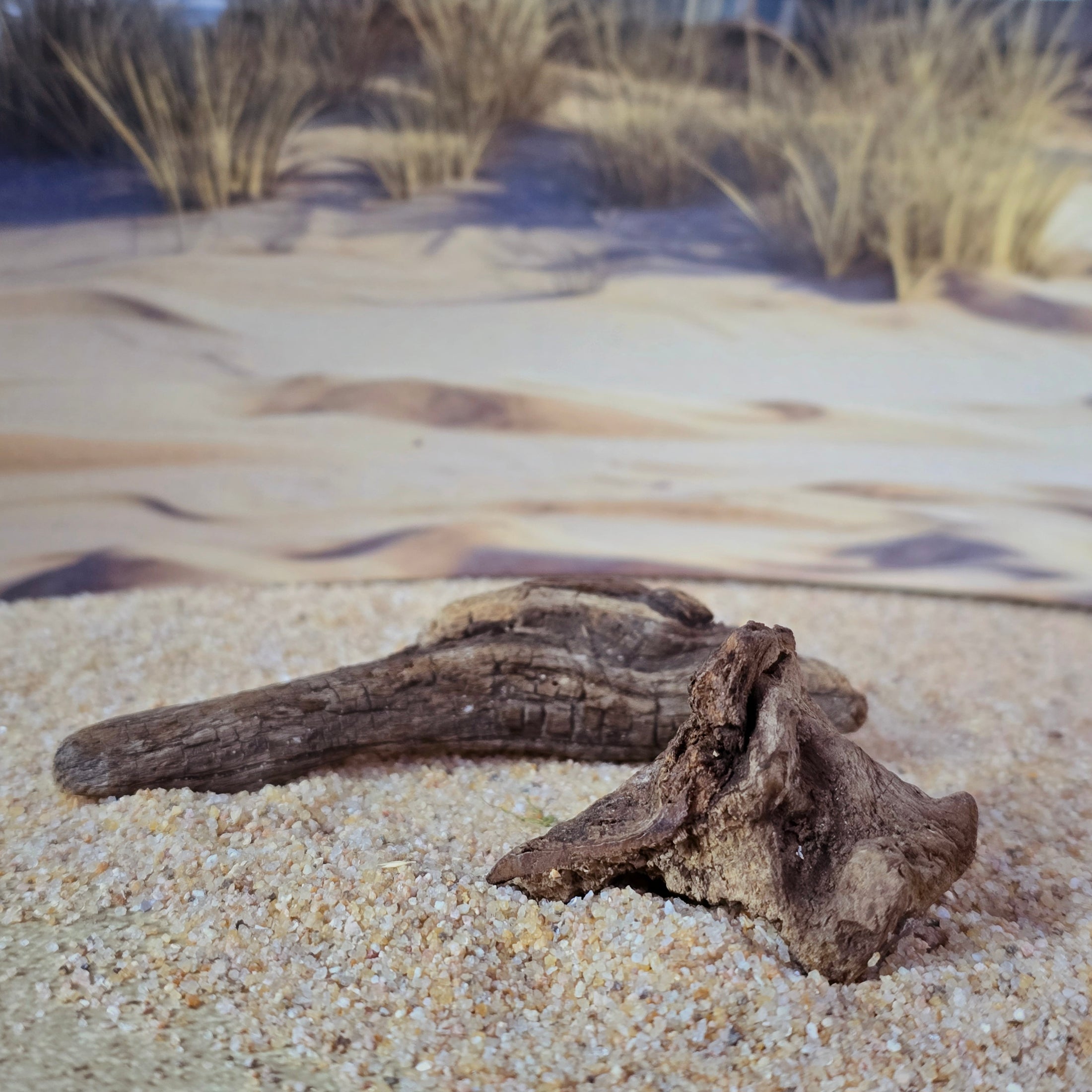 Miniature Weathered Driftwood Beach Scene Accessories Set OOAK