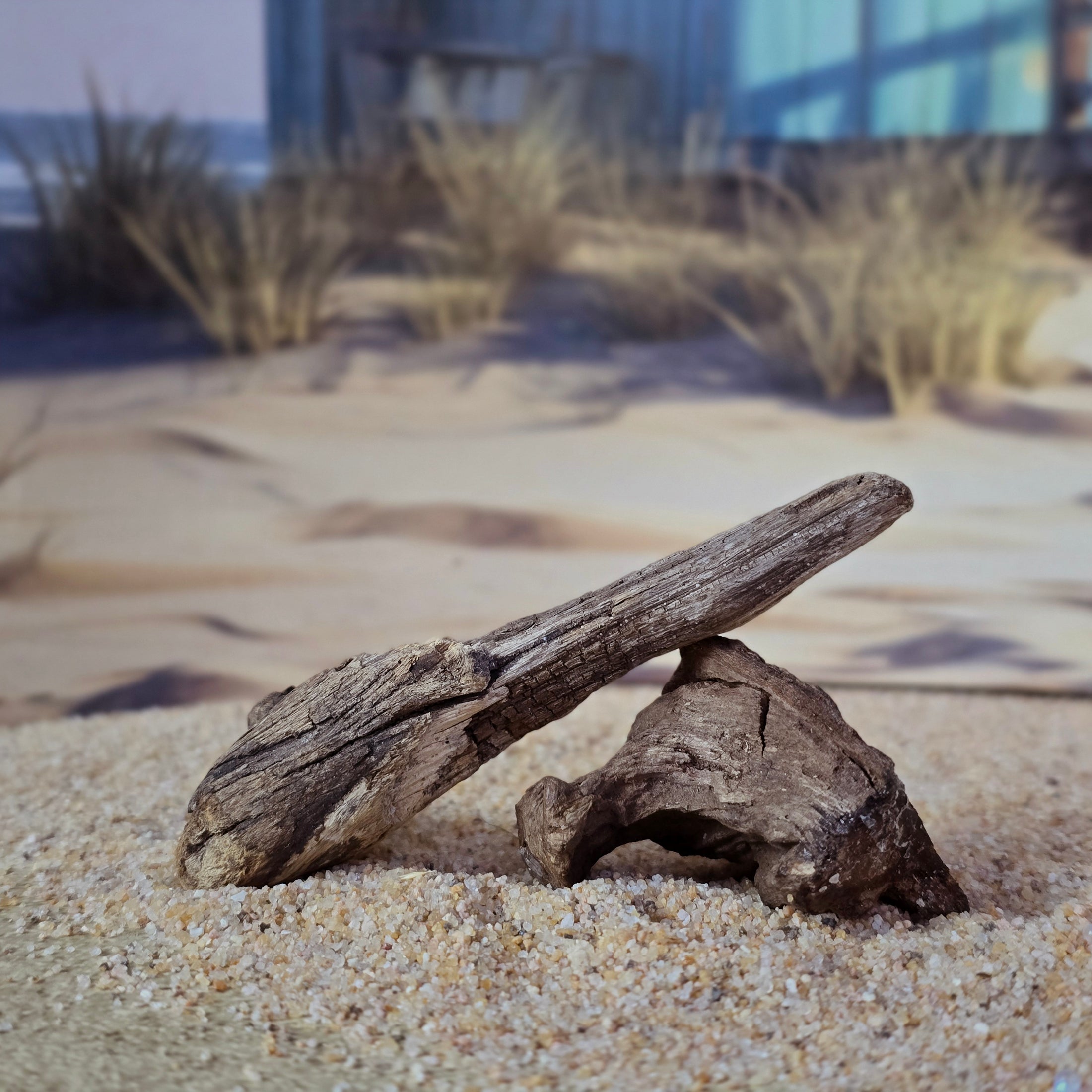 Miniature Weathered Driftwood Beach Scene Accessories Set OOAK