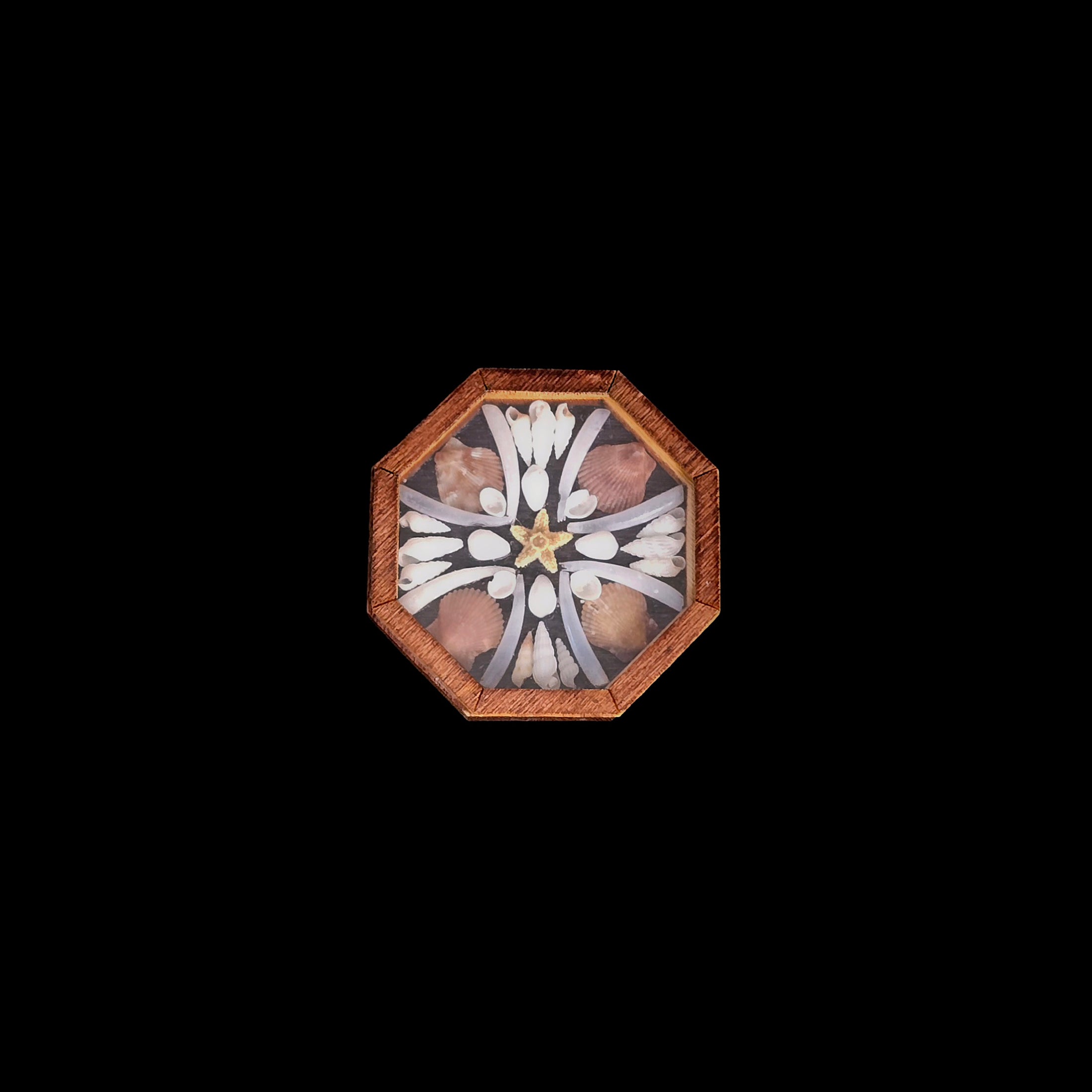 Miniature Pam Friend-Gwinn OOAK Sailor’s Valentine Starfish Shell Mosaic