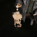 Load image into Gallery viewer, Miniature OOAK Coastal Shell Wind Chime with Glass Seagull & Wooden Fish
