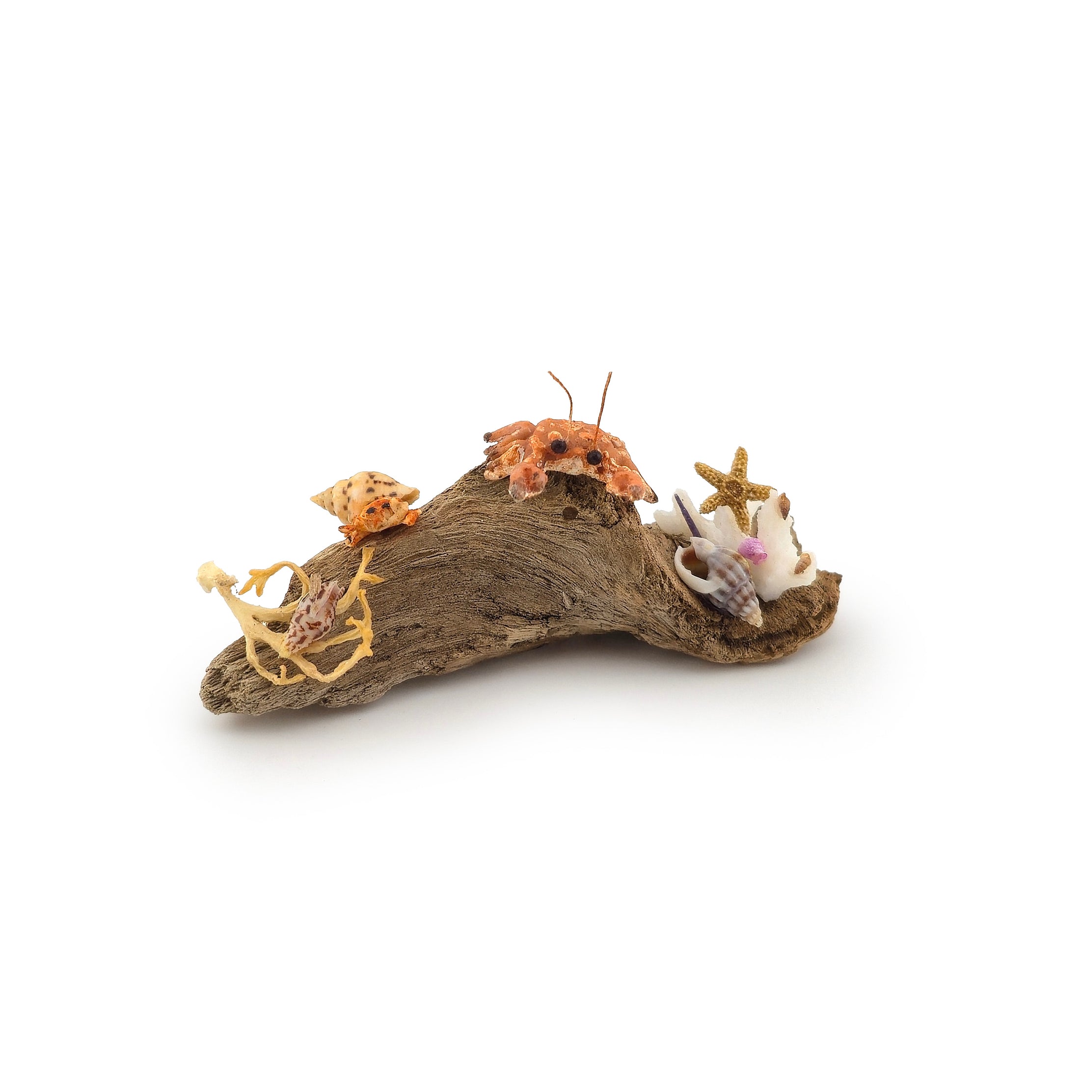 Miniature Coastal Driftwood Seaside Vignette with Crab & Seashells #1