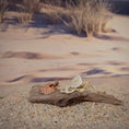 Load image into Gallery viewer, Miniature Coastal Driftwood Vignette with Crab & Shells #2
