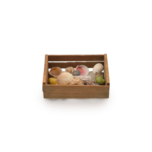OOAK Miniature Beachcomber Shell Crate with Natural Micro Seashells
