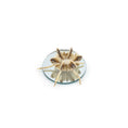 Load image into Gallery viewer, Miniature Mushroom Coral Specimen on Mirror Beach Display #1
