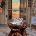 Load image into Gallery viewer, Miniature Mushroom Coral Specimen on Mirror Beach Display #1
